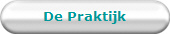 De Praktijk